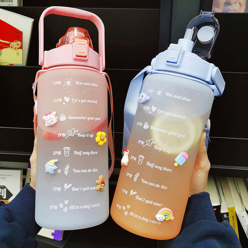HydrationCompanion Inspired Sports Flask