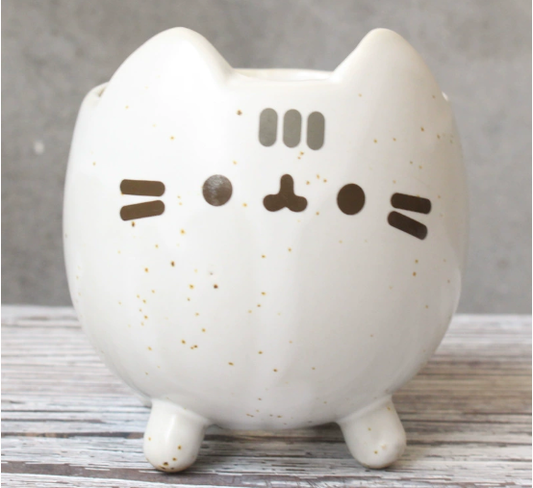 Charming Cat Succulent Holder