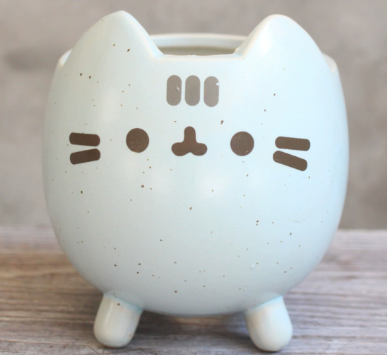 Charming Cat Succulent Holder