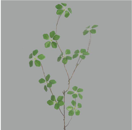 Silk Guanyin Lotus Leaf Indoor Plant