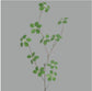 Silk Guanyin Lotus Leaf Indoor Plant