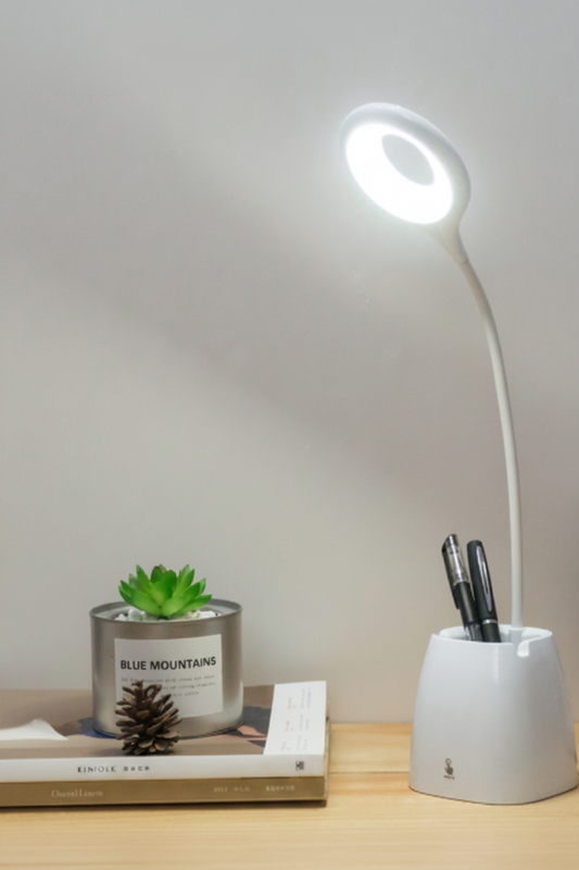 Clip-On LED Study Lamp