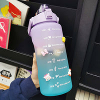HydrationCompanion Inspired Sports Flask