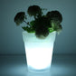 SolarGlow Plant Holder