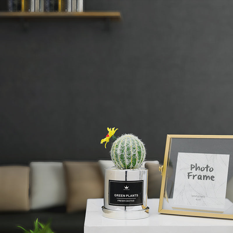 Faux Succulent and Bonsai Display
