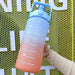 HydrationCompanion Inspired Sports Flask