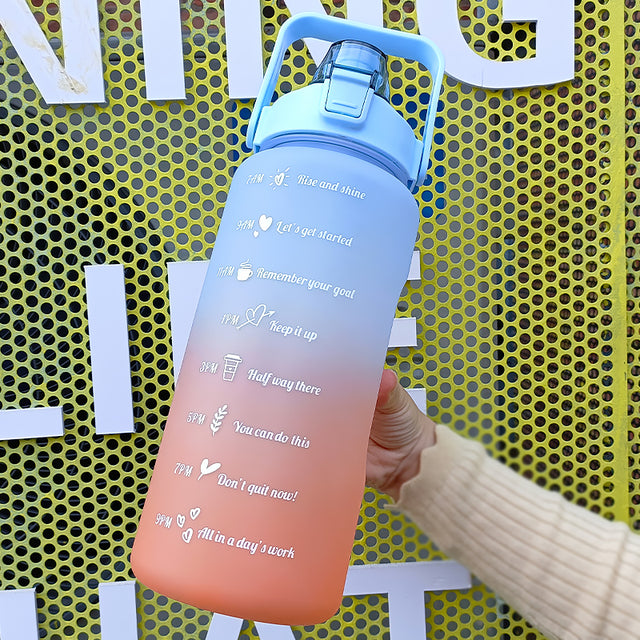 HydrationCompanion Inspired Sports Flask