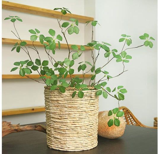 Silk Guanyin Lotus Leaf Indoor Plant