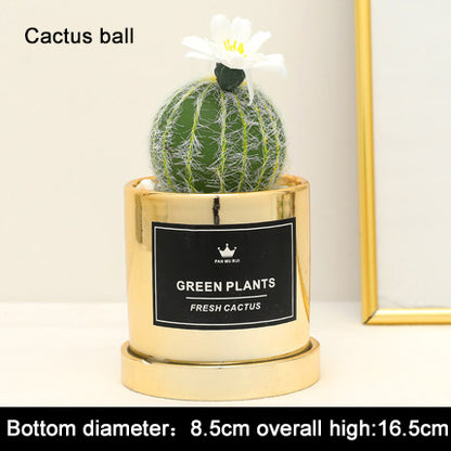 Faux Succulent and Bonsai Display