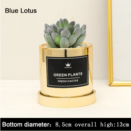 Faux Succulent and Bonsai Display