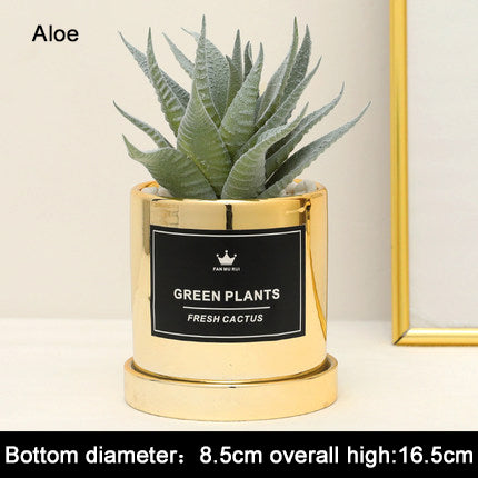Faux Succulent and Bonsai Display