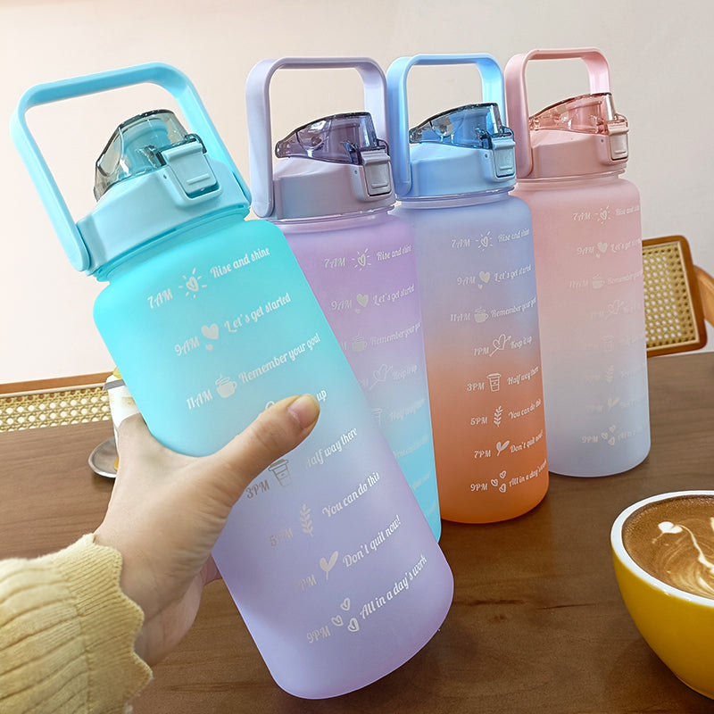 HydrationCompanion Inspired Sports Flask