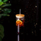 Eco-Friendly Glass Sipping Set with Stainless Straws, 24oz