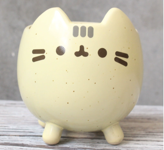 Charming Cat Succulent Holder