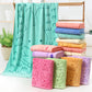 Fun Print Microfiber Beach Towel