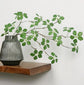 Silk Guanyin Lotus Leaf Indoor Plant