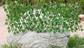 Versatile Faux Plant Barrier