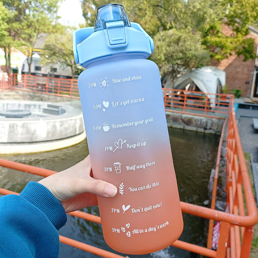 HydrationCompanion Inspired Sports Flask