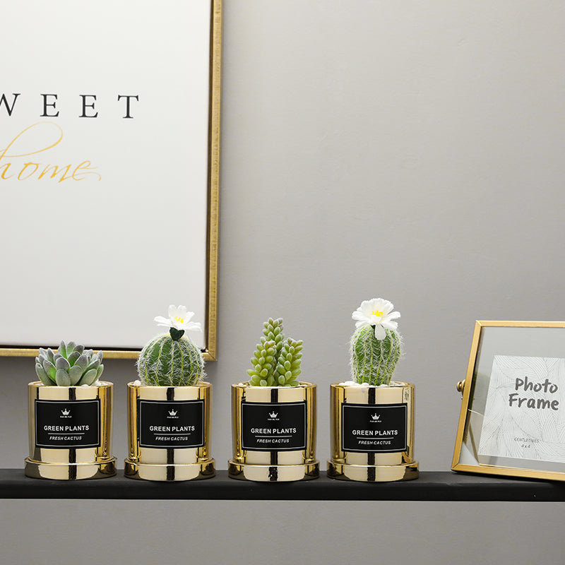 Faux Succulent and Bonsai Display