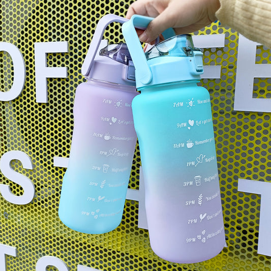 HydrationCompanion Inspired Sports Flask