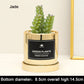 Faux Succulent and Bonsai Display