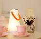 LED Touch Smart Bedside Light