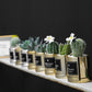 Faux Succulent and Bonsai Display