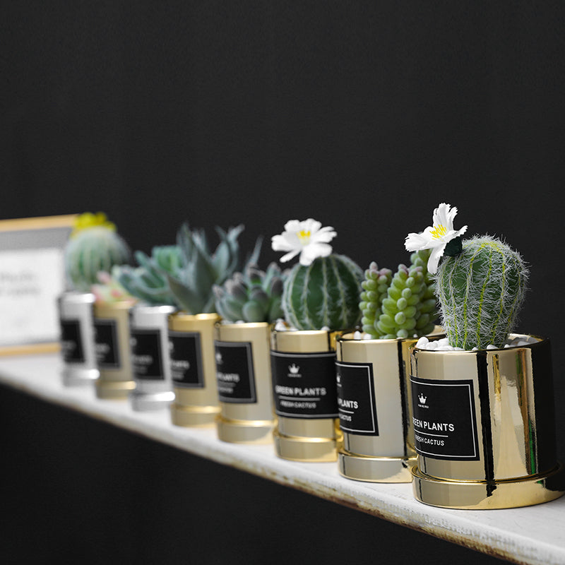 Faux Succulent and Bonsai Display