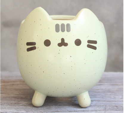 Charming Cat Succulent Holder