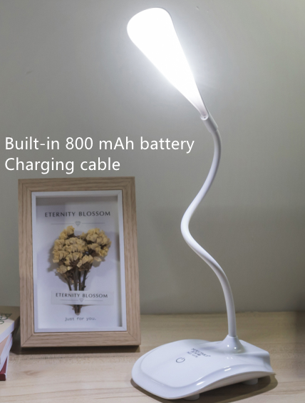 Clip-On LED Study Lamp