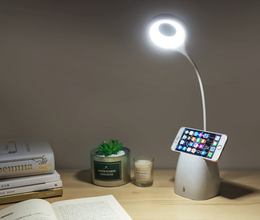 Clip-On LED Study Lamp