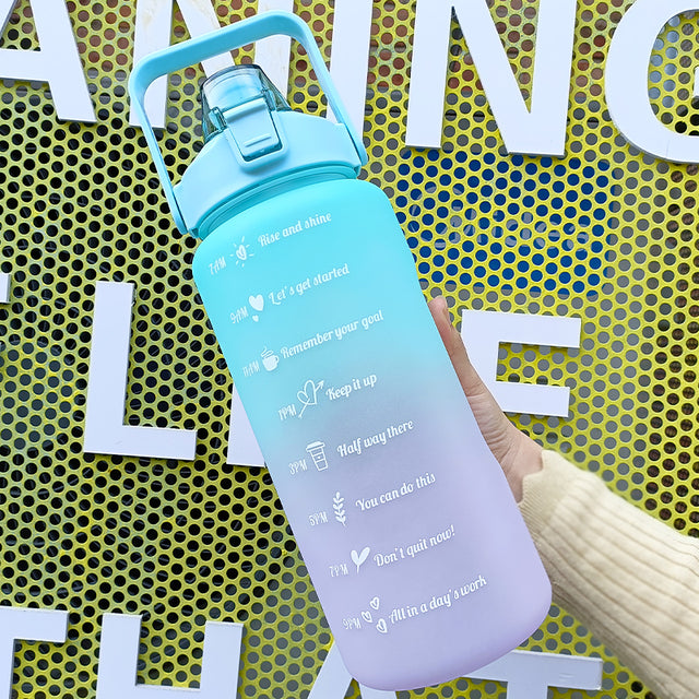 HydrationCompanion Inspired Sports Flask