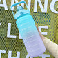 HydrationCompanion Inspired Sports Flask