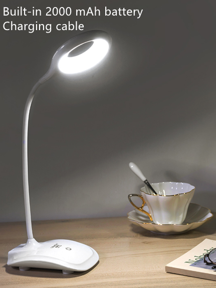 Clip-On LED Study Lamp