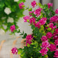 Elegant Faux Lotus Decor Florals