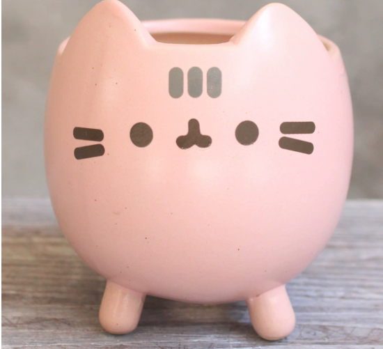 Charming Cat Succulent Holder