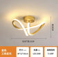 Elegant LED Hallway Ceiling Light