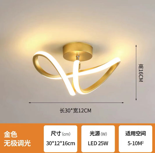 Elegant LED Hallway Ceiling Light