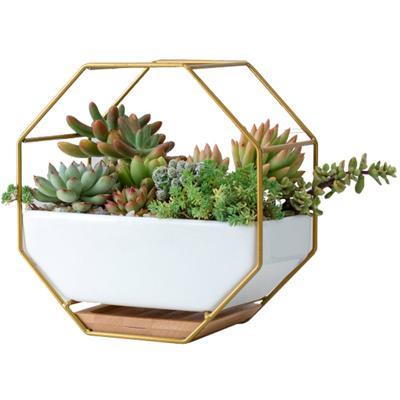 Nordic Minimalist Geometric Wrought Iron Flower Pot Set