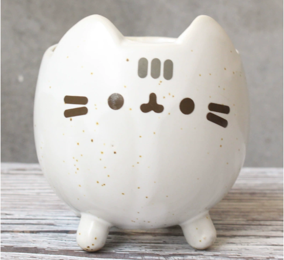 Charming Cat Succulent Holder