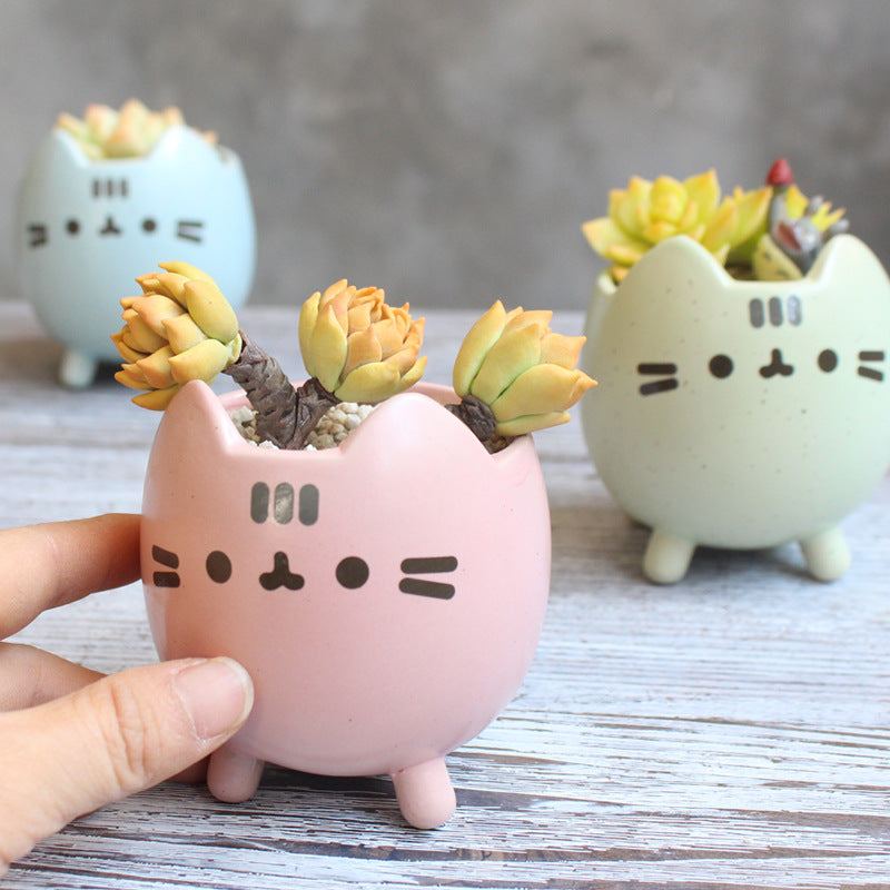 Charming Cat Succulent Holder