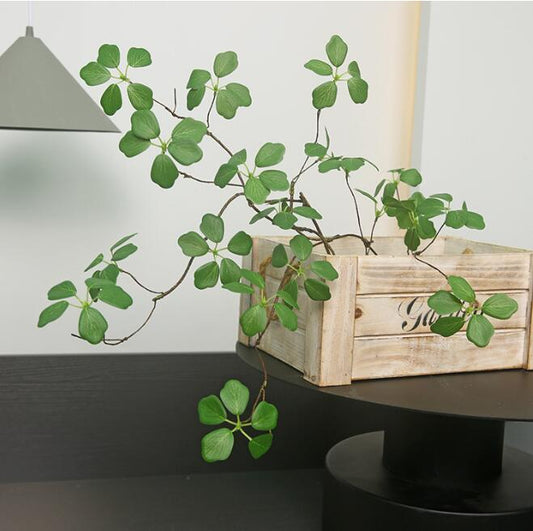 Silk Guanyin Lotus Leaf Indoor Plant