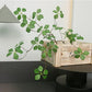 Silk Guanyin Lotus Leaf Indoor Plant